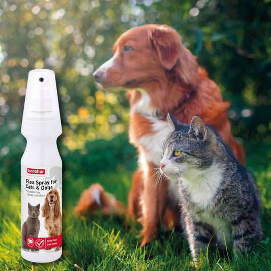 FLEA SPRAY (DOGS) beaphar