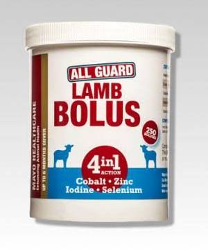 All-Guard 4 In 1 Bolus 100S Lamb – nutritional supplementation