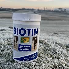 BIOTIN POWDER 1KG