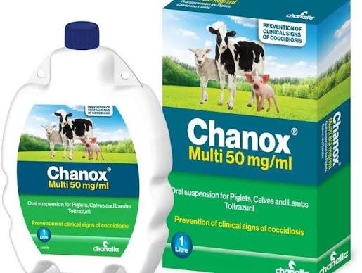 Chanox 1 L – farm and animal-care supply