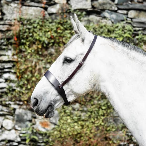 CLASSIC WIDE FLAT CAVESSON NOSEBAND BLACK
