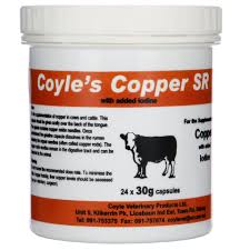 COPPER SR 30GR X 24