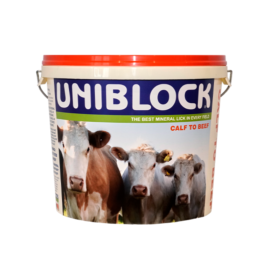 Uniblock Calf To Beef 20kg - Uniblock livestock mineral and feed supplement