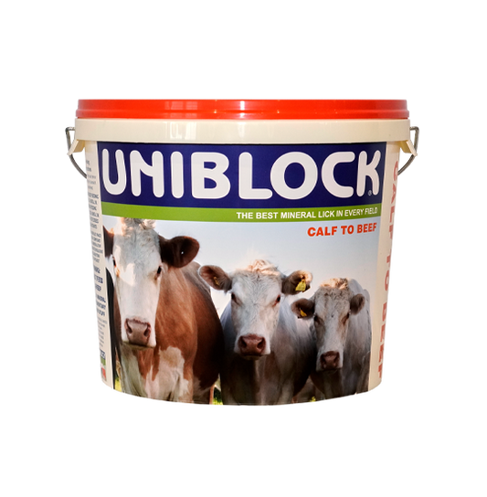 Uniblock Calf To Beef 20kg - Uniblock livestock mineral and feed supplement