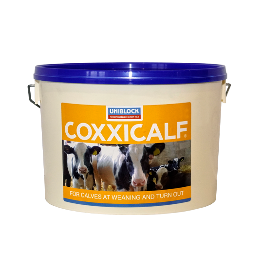 Uniblock Coxxicalf 10kg - Uniblock livestock mineral and feed supplement