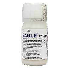 EAGLE 120GRM SPRAY