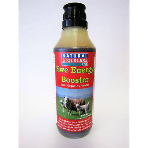 EWE ENERGY BOOSTER 500ML
