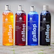 GALLOP COLOUR SHAMPOO 500ml