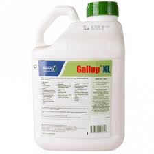 GALLUP XL 5LT