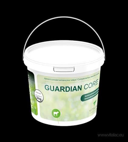 GUARDIAN CORE 20KG