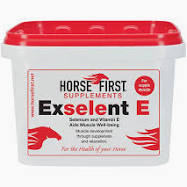 HORSE FIRST EXSELENT-E 1KG