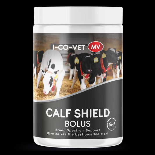 I-CO-VET CALF SHIELD BOLUS (20 PACK)