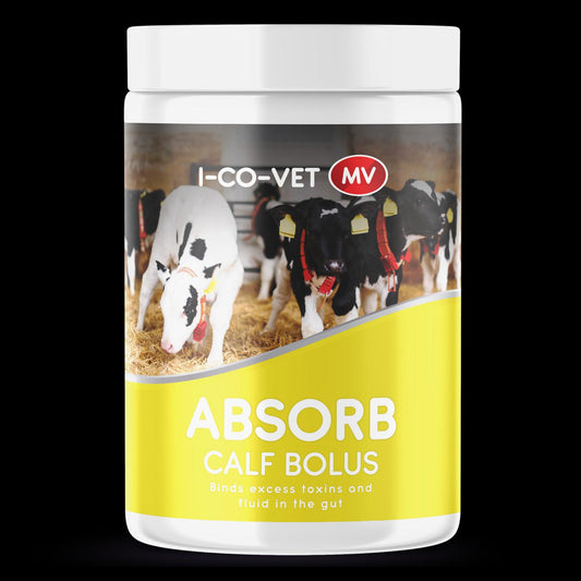 I-CO-VET ABSORB CALF BOLUS (50 PACK)