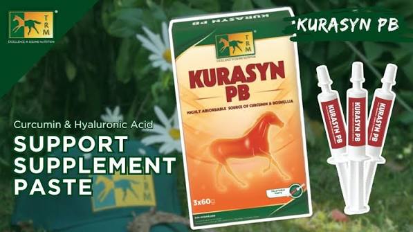KURASYN PB PASTE 3X60G