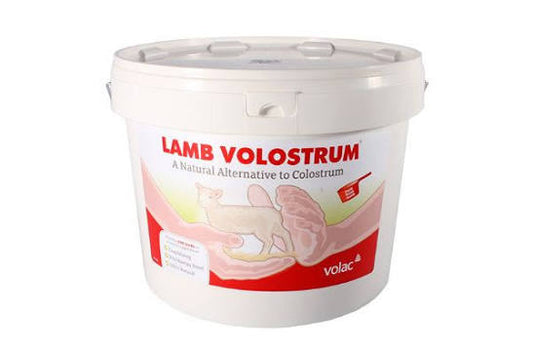 LAMB VOLOSTRUM 2.5KG
