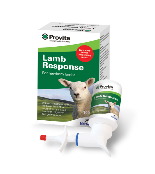 PROVITA LAMB RESPONSE 100ML 90 FEED