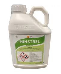 MINSTREL 5LTS