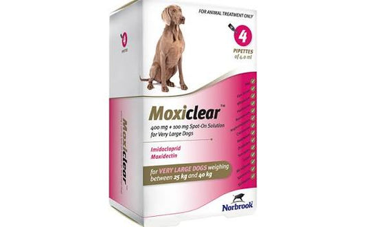 MOXICLEAR XL DOG (singleshot)