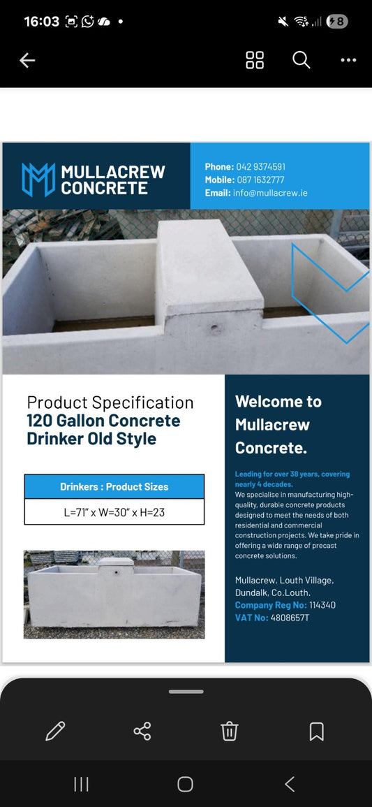 Mullacrew 120 Gallon Concrete Drinker – Old St