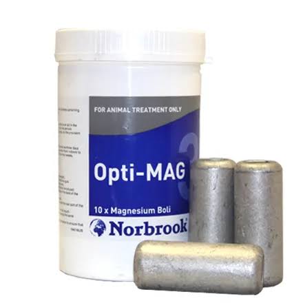OPTI-MAG BULLET 10 PER PACK