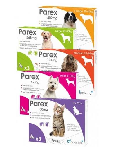 PAREX LARGE DOG 3 PACK