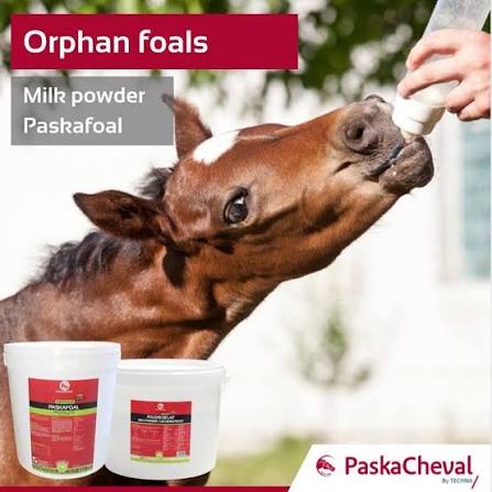 PASKACHEVAL MILK POWDER (FOAL) 5kg