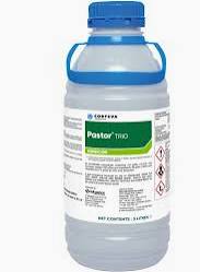 PASTOR TRIO 3LTS
