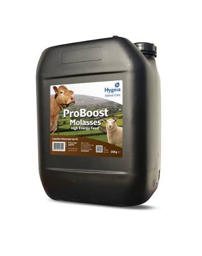 PROBOOST MOLASSES 25kg