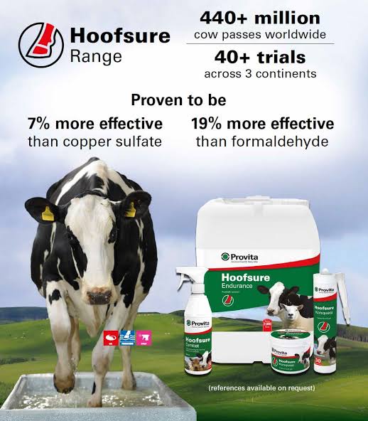 PROVITA HOOFSURE 20LT
