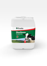 PROVITA HOOFSURE ENDURANCE 5LT