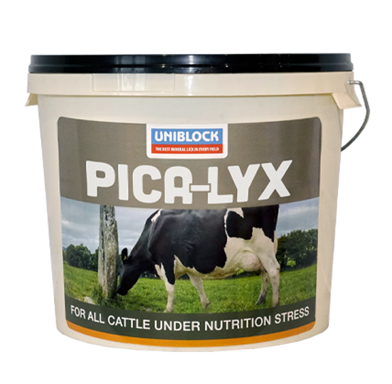 Uniblock Pica-LYX 20kg - Uniblock livestock mineral and feed supplement