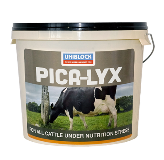 Uniblock Pica-LYX 20kg - Uniblock livestock mineral and feed supplement