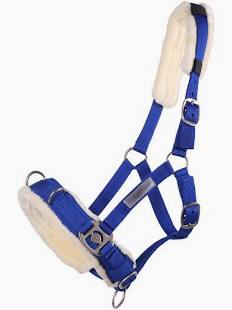 QHP CAVESSON BLUE FULL