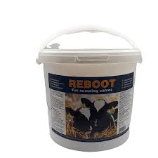 REBOOT 1KG