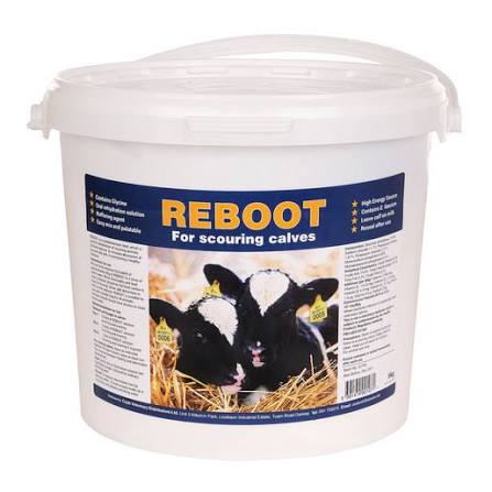REBOOT 5KG