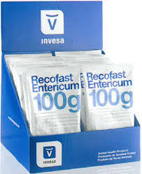 RECOFAST SACHET 100G