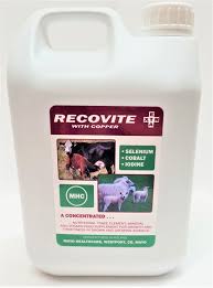 MHC RECOVITE EXTRA 1LTR