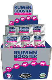 RUMEN BOOSTER SACHET