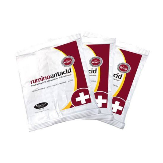 RUMINATE SACHET
