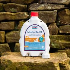 NATURAL STOCKCARE SHEEP BOOST 1Ltr