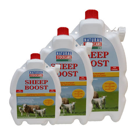 NATURAL STOCKCARE SHEEP BOOST 5Ltr