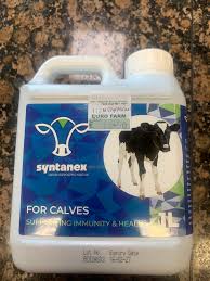 SYNTANEX CALF POST BIOTIC WITH SEAWEED 10LTR