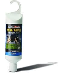 TEATMINT 500ML