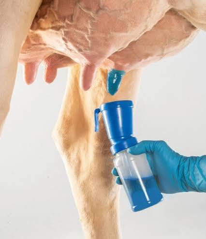 TEAT SEALER BARRIER