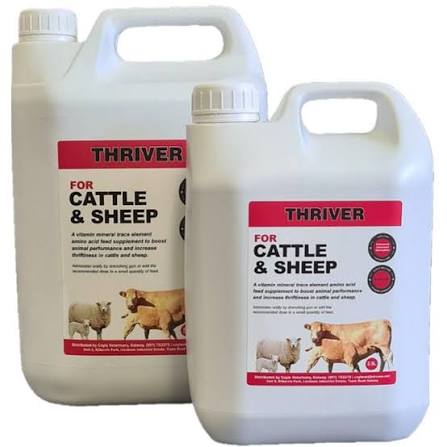 THRIVER 2.5LT