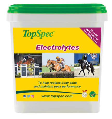TOPSPEC ELECTROLYTES 3KG