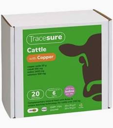 TRACESURE CALF WITH COPPER 20's