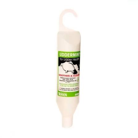 TEISEN UDDERMINT 600ML