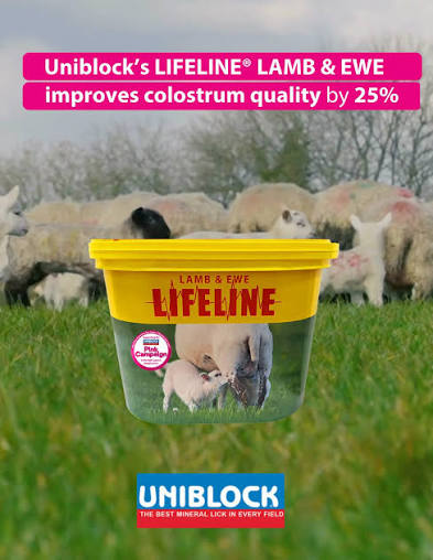 Uniblock Lifeline Lamb & Ewe 18kg
