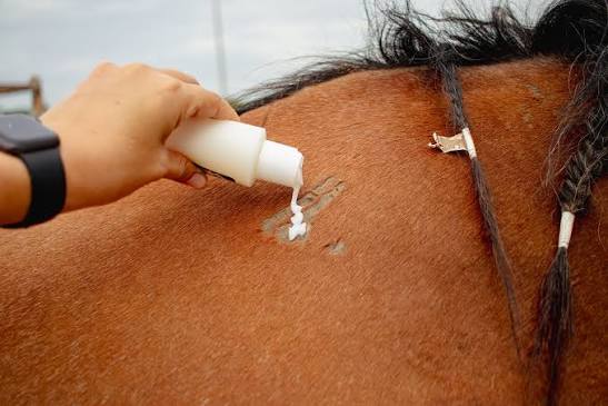 WOUND HEAL CREAM